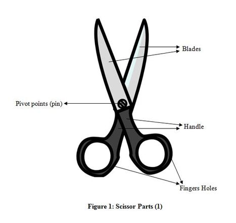 scissors is or are